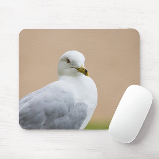 Ausblick Mousepad (Mit Mouse)