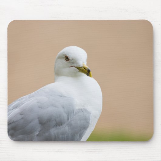 Ausblick Mousepad (Vorne)