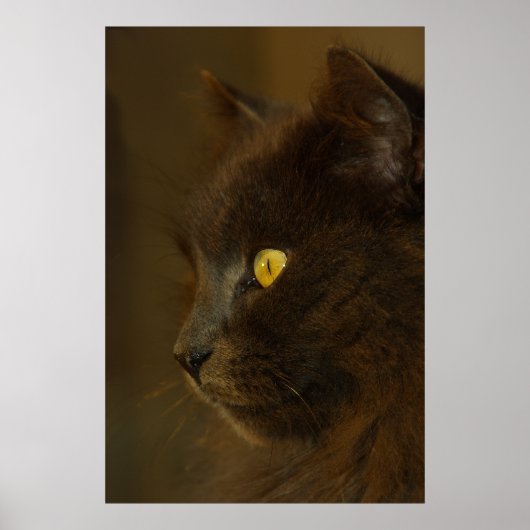 Ausblick Poster (Vorne)