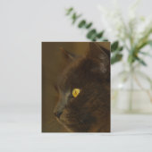 Ausblick Postkarte (Stehend Vorderseite)