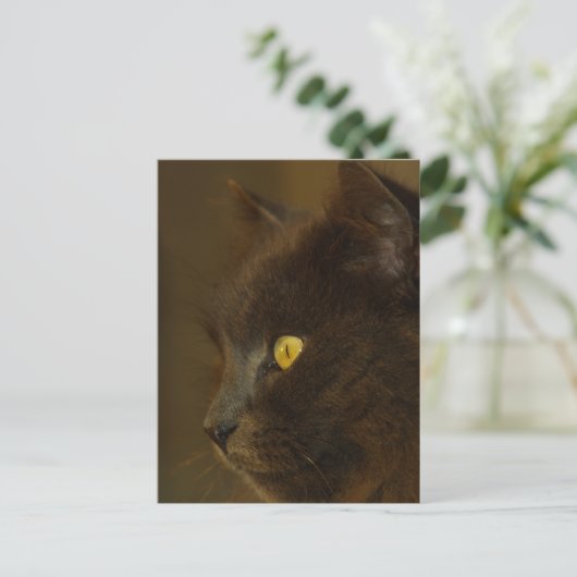 Ausblick Postkarte (Stehend Vorderseite)