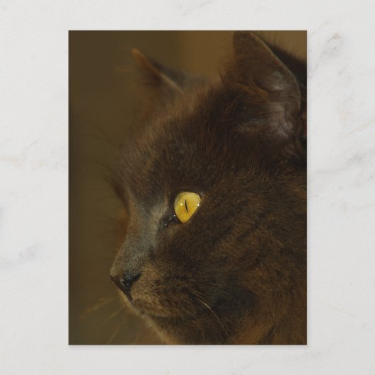 Ausblick Postkarte (Vorderseite)