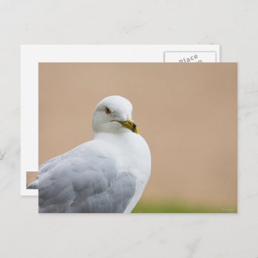 Ausblick Postkarte (Vorne/Hinten)