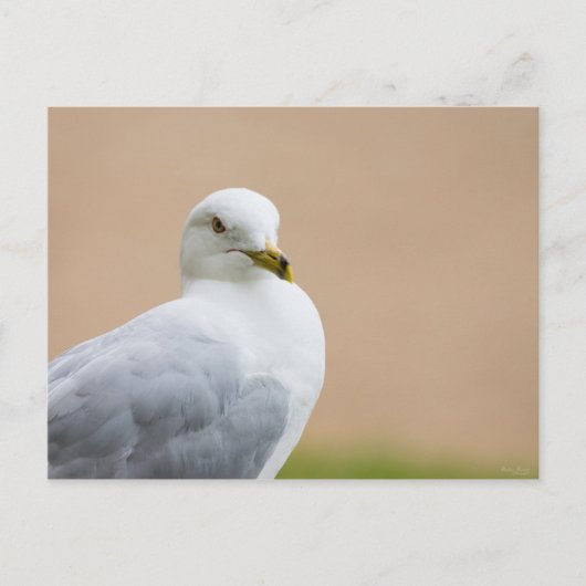 Ausblick Postkarte (Vorderseite)