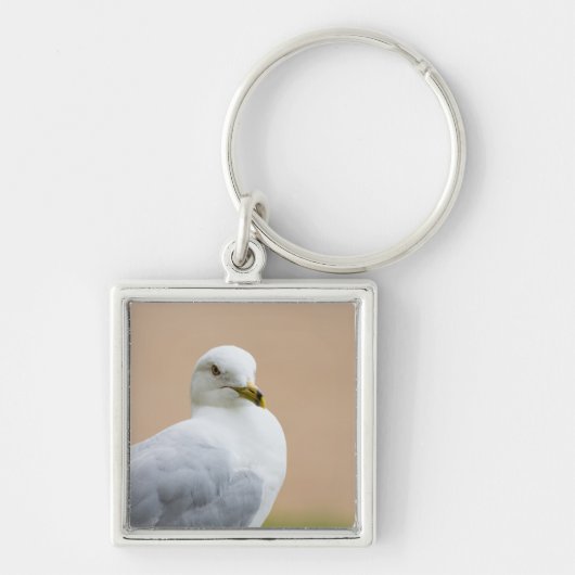 Ausblick Schlüsselanhänger (Vorne)