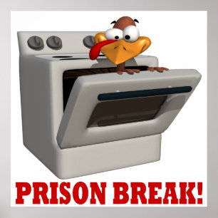 Ausbruch aus dem Gefängnis Poster