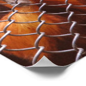 Ausbruch Poster (Ecke)