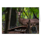 Auschecken Danke Karte (Vorderseite (Horizontal))