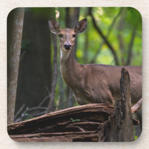 Auschecken Getränkeuntersetzer
