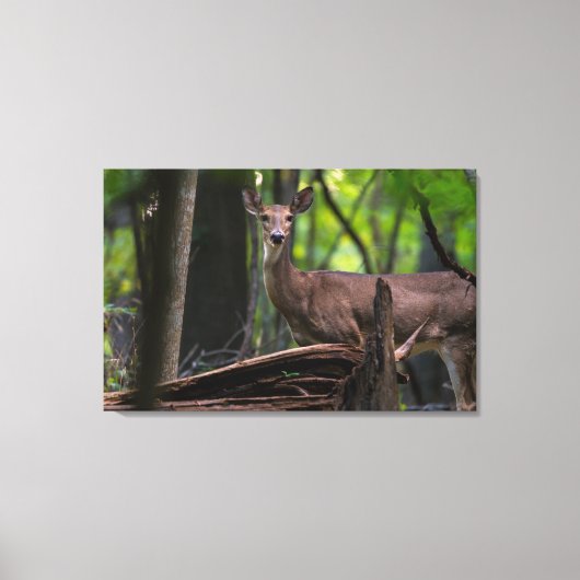 Auschecken Leinwanddruck (Vorderseite)