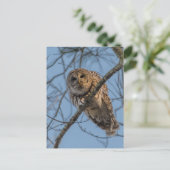 Auschel Feiertagspostkarte (Stehend Vorderseite)