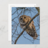 Auschel Feiertagspostkarte (Vorne/Hinten)