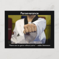 Ausdauer der Kampfkünste