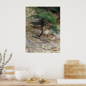 Ausdauerbaum Poster (Küche)