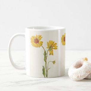Ausdauernde Gaillardia von Mary Vaux Walcott Kaffeetasse