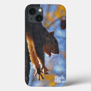 Ausdehnen des Eichhörnchens Case-Mate iPhone Hülle