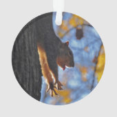 Ausdehnen des Eichhörnchens Ornament (Rückseite)