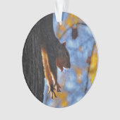 Ausdehnen des Eichhörnchens Ornament (Vorderseite)