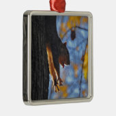 Ausdehnen des Eichhörnchens Silbernes Ornament (Rechts)