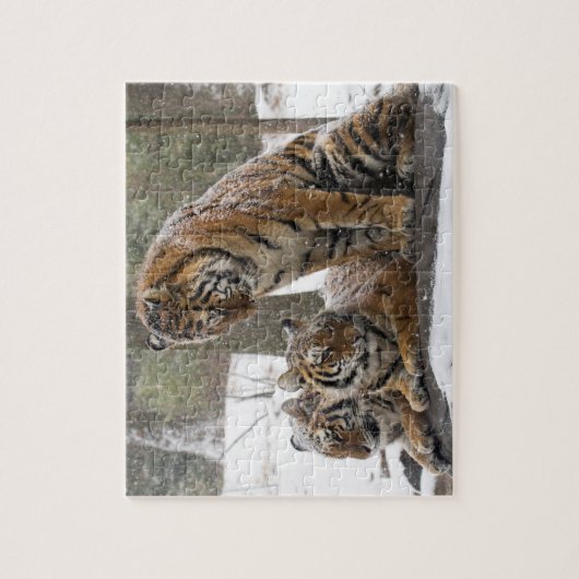 Ausdehnen des Tigers Puzzle (Vertikal)
