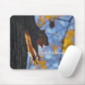 Ausdehnen von Eichhörnchen 2 Mousepad (Mit Mouse)