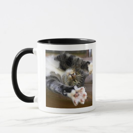 Ausdehnende Katze, zuhause Tasse (Links)