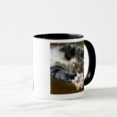 Ausdehnende Katze, zuhause Tasse (VorderseiteRechts)