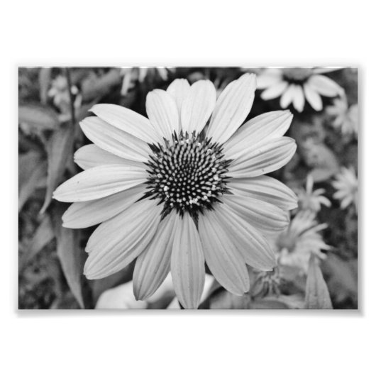Ausdrücke 12x18 Fotografischer Ausdruck Fotodruck (Vorne)