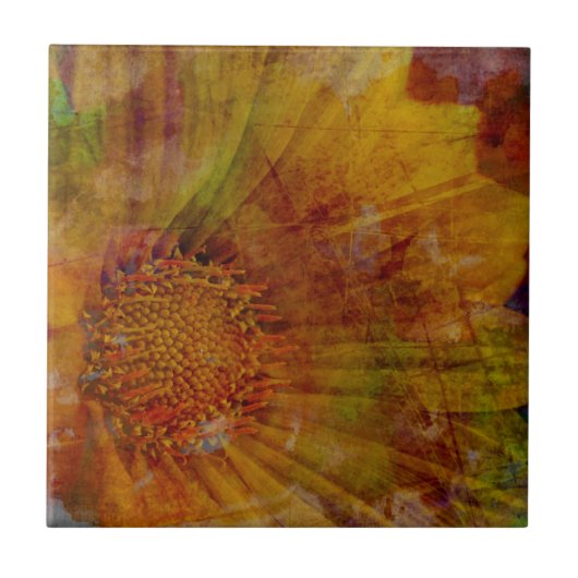 Ausdrücke Fliese (Vorderseite)