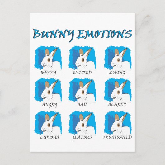 AUSDRÜCKE POSTKARTE (Vorderseite)