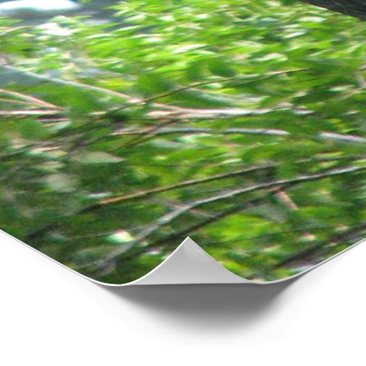 Ausdrucksbaum Poster (Ecke)