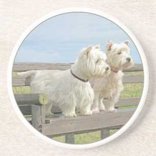 Ausfuhr Sandstein Untersetzer