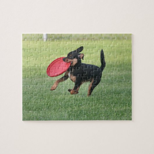 ausführen puzzle (Horizontal)