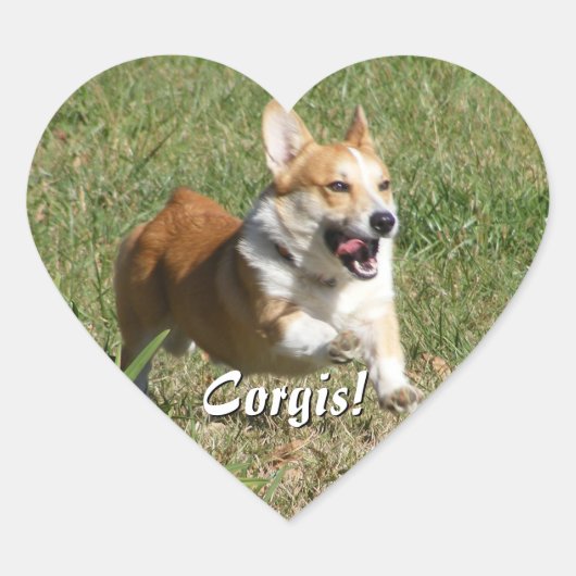 Ausführen von Corgi Stickers (Vorderseite)