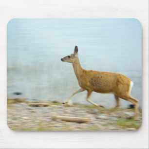 Ausführen von Doe Mousepad