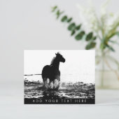 Ausführen von Tier-Vorlage für Pferde Postkarte (Stehend Vorderseite)