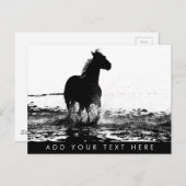 Ausführen von Tier-Vorlage für Pferde Postkarte (Vorne/Hinten)