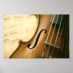 Ausführliche Violine Poster