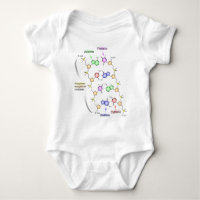 Ausführliches Diagramm der chemischen Struktur von