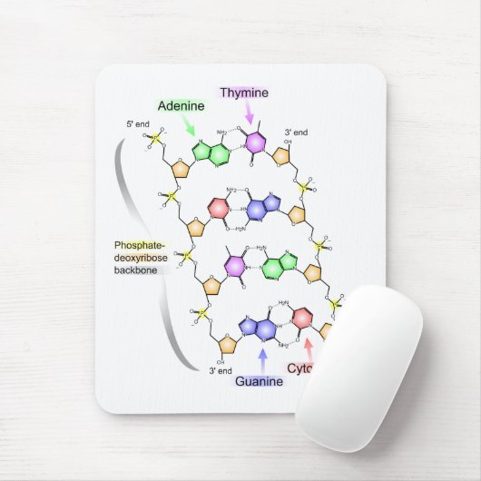 Ausführliches Diagramm der chemischen Struktur von Mousepad (Mit Mouse)