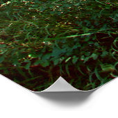 Ausgabe des verzauberten Waldposters Poster (Ecke)