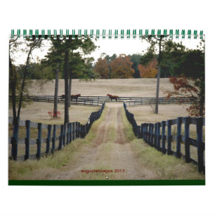 Ausgaben 2015 kalender
