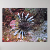 Ausgeblendete Geldbußen Poster (Vorne)