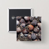 Ausgebogte bunte Seashells auf einem schwarzen Button (Vorne & Hinten)