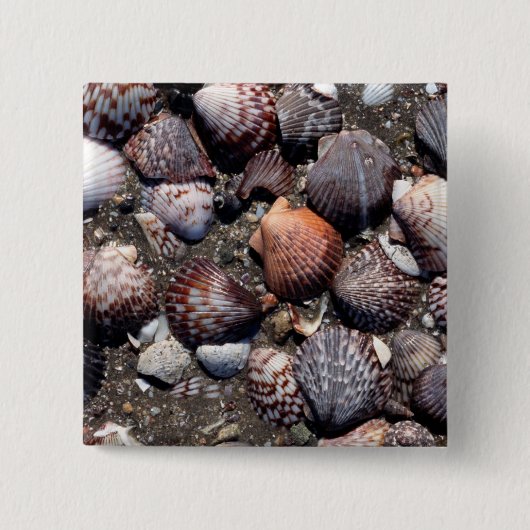 Ausgebogte bunte Seashells auf einem schwarzen Button (Vorderseite)