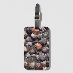 Ausgebogte bunte Seashells auf einem schwarzen Gepäckanhänger