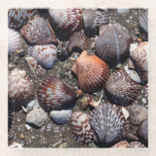 Ausgebogte bunte Seashells auf einem schwarzen Glasuntersetzer