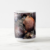 Ausgebogte bunte Seashells auf einem schwarzen Kaffeetasse (Mittel)