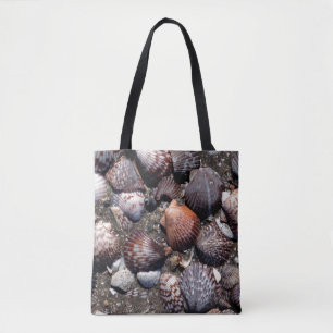 Ausgebogte bunte Seashells auf einem schwarzen Tasche