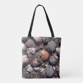 Ausgebogte bunte Seashells auf einem schwarzen Tasche (Rückseite)